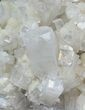 Apophyllite Crystals on Prehnite with Gyrolite - India #44362-1